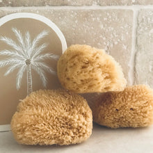 Load image into Gallery viewer, Natural Sea Sponge
