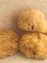 Load image into Gallery viewer, Natural Sea Sponge