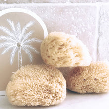 Load image into Gallery viewer, Natural Sea Sponge