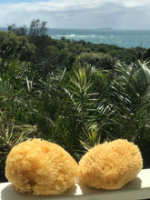 Load image into Gallery viewer, Natural Sea Sponge