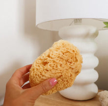 Load image into Gallery viewer, Natural Sea Sponge